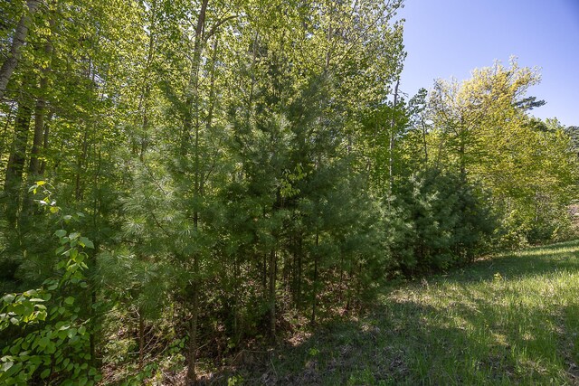 TBD Cardarelle Ct NW, Hackensack, MN 56452