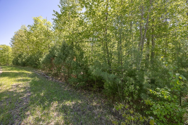 TBD Cardarelle Ct NW, Hackensack, MN 56452