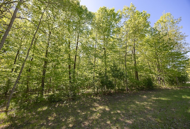 TBD Cardarelle Ct NW, Hackensack, MN 56452