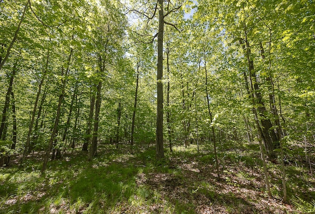 TBD Cardarelle Ct NW, Hackensack, MN 56452