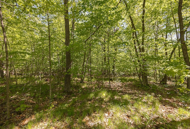 TBD Cardarelle Ct NW, Hackensack, MN 56452