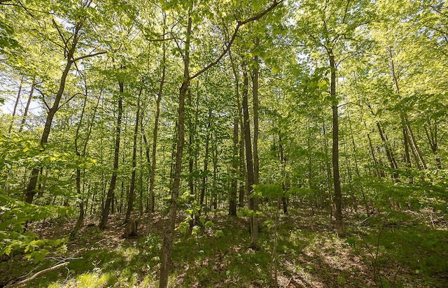 TBD Cardarelle Ct NW, Hackensack, MN 56452