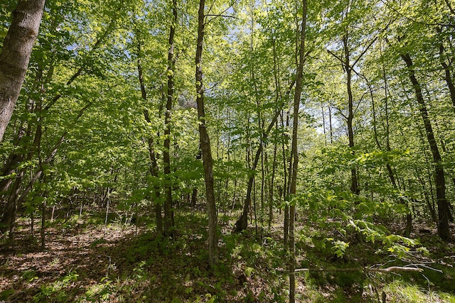 TBD Cardarelle Ct NW, Hackensack, MN 56452