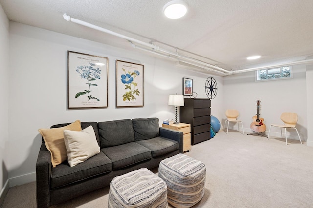 5117 48th St, Edina, MN 55436 - carpeted living room featuring baseboards and a textured ceiling