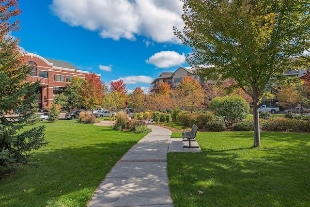 5117 48th St, Edina, MN 55436 - surrounding community with a yard
