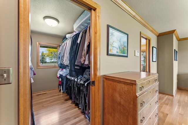 8705 Chester Ave, Webster Twp, MN 55057 - spacious closet featuring light wood finished floors