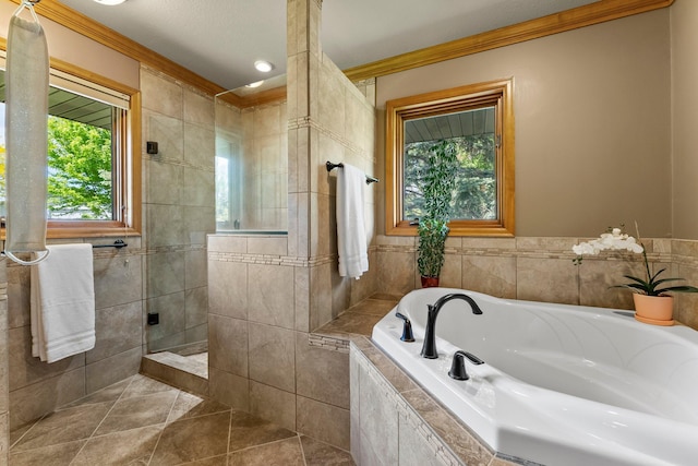8705 Chester Ave, Webster Twp, MN 55057 - full bathroom featuring a garden tub, walk in shower, ornamental molding, and tile patterned flooring