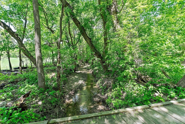 8705 Chester Ave, Webster Twp, MN 55057 - view of undeveloped land