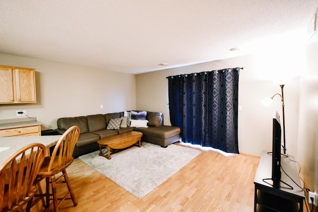2778 Ridgeview Ln, Red Wing, MN 55066 - living area featuring light wood-style flooring