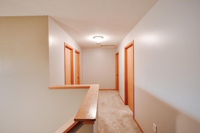 2778 Ridgeview Ln, Red Wing, MN 55066 - hall with light colored carpet and baseboards