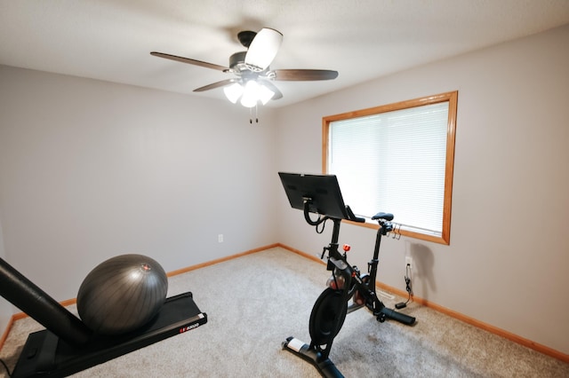 2778 Ridgeview Ln, Red Wing, MN 55066 - exercise area with a ceiling fan, carpet flooring, and baseboards