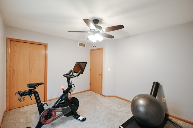 2778 Ridgeview Ln, Red Wing, MN 55066 - exercise area with a ceiling fan, carpet, and baseboards