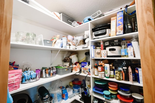 2778 Ridgeview Ln, Red Wing, MN 55066 - view of storage area