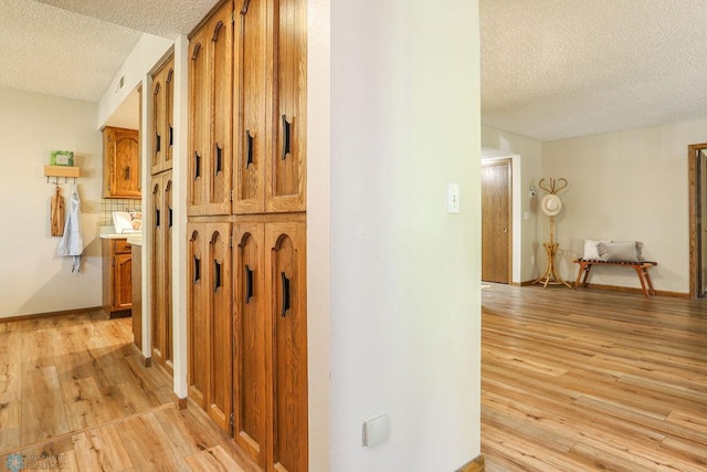 220 8th St S Unit B2, Fargo, ND 58103 - hallway with a textured ceiling and light wood finished floors