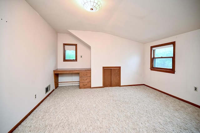 919 Howard St, Winona, MN 55987 - additional living space with carpet floors, baseboards, and lofted ceiling