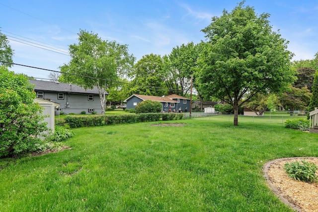 4017 Kentucky Ave N, Crystal, MN 55427 - view of yard