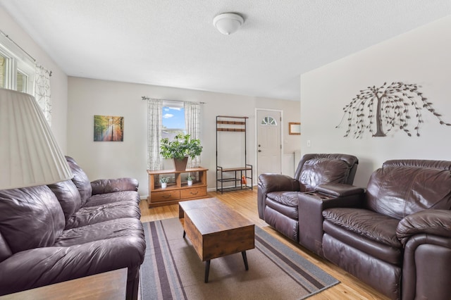 1224 N St NE, Brainerd, MN 56401 - living area featuring light wood-style flooring and a textured ceiling