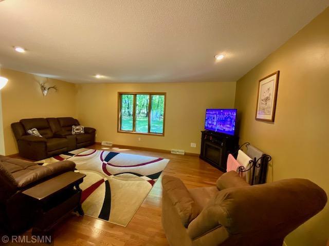 23110 Grandview Loop, Long Prairie Twp, MN 56347 - living area with wood finished floors, recessed lighting, baseboards, and a fireplace