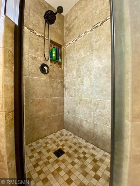 23110 Grandview Loop, Long Prairie Twp, MN 56347 - full bathroom with tiled shower