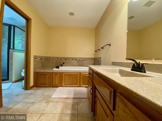 23110 Grandview Loop, Long Prairie Twp, MN 56347 - full bathroom with a garden tub, a shower stall, vanity, and tile patterned floors
