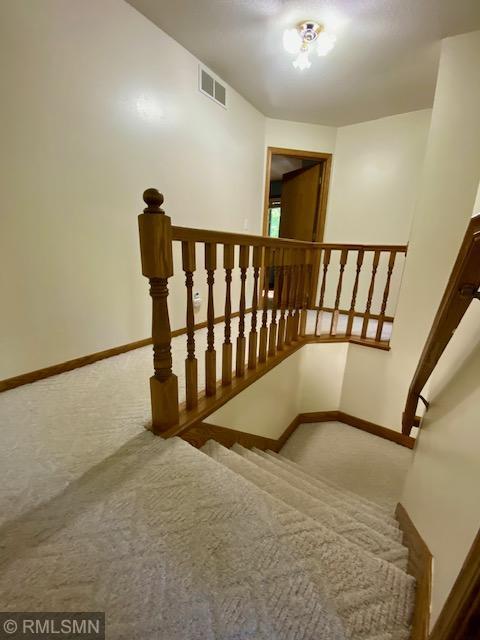 23110 Grandview Loop, Long Prairie Twp, MN 56347 - stairs with carpet floors and baseboards