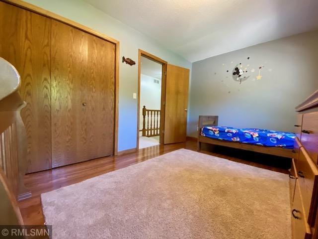 23110 Grandview Loop, Long Prairie Twp, MN 56347 - bedroom featuring lofted ceiling, wood finished floors, and a closet