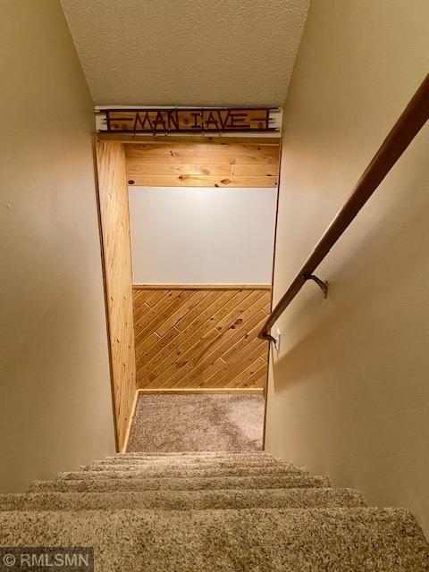 23110 Grandview Loop, Long Prairie Twp, MN 56347 - stairs with carpet floors and a textured ceiling