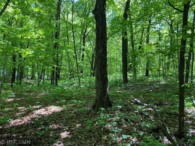23110 Grandview Loop, Long Prairie Twp, MN 56347 - view of woods