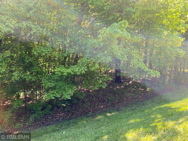 23110 Grandview Loop, Long Prairie Twp, MN 56347 - view of yard