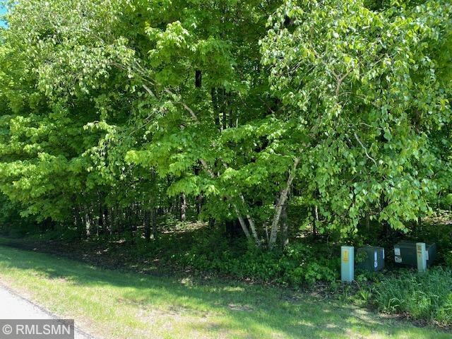 23110 Grandview Loop, Long Prairie Twp, MN 56347 - view of yard