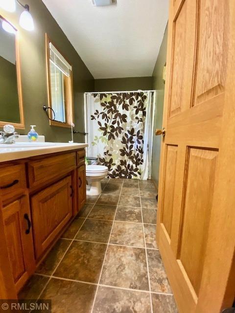 23110 Grandview Loop, Long Prairie Twp, MN 56347 - bathroom featuring vanity, toilet, and a shower with shower curtain