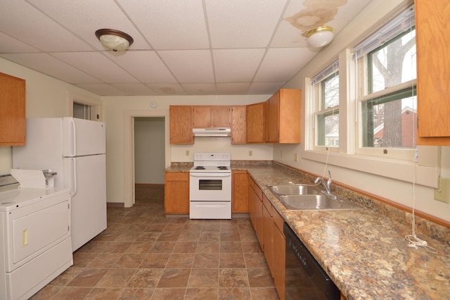 508 6th Ave S, Saint Cloud, MN 56301 - kitchen with white appliances, under cabinet range hood, a sink, a drop ceiling, and baseboards
