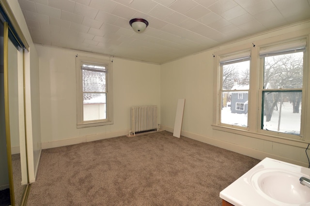508 6th Ave S, Saint Cloud, MN 56301 - unfurnished bedroom featuring radiator heating unit, carpet, a sink, and baseboards