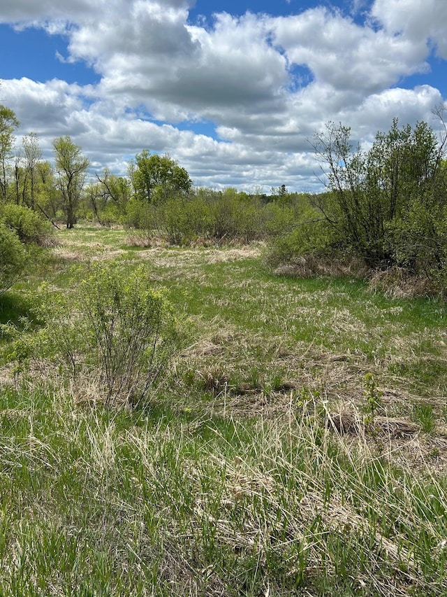 TBD Chokecherry Rd, Finlayson, MN 55735 - photo 10