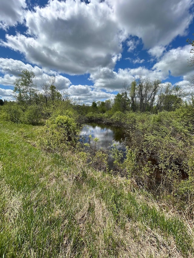 TBD Chokecherry Rd, Finlayson, MN 55735 - photo 11
