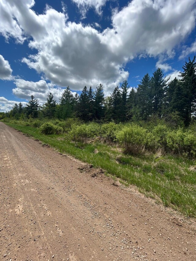 TBD Chokecherry Rd, Finlayson, MN 55735 - photo 16