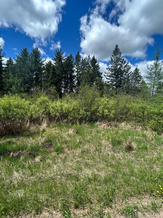 TBD Chokecherry Rd, Finlayson, MN 55735 - photo 17