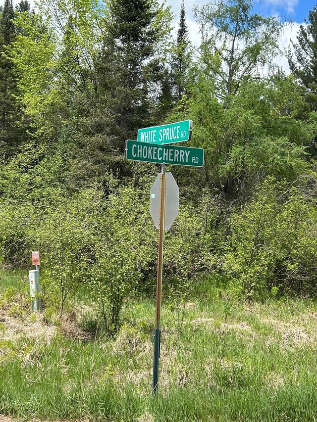 TBD Chokecherry Rd, Finlayson, MN 55735 - photo 18