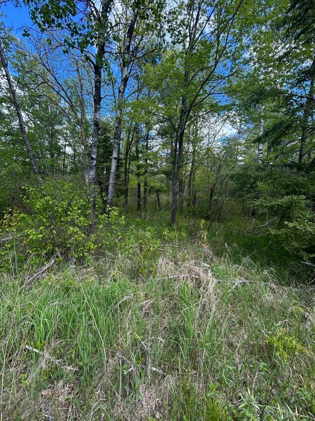 TBD Chokecherry Rd, Finlayson, MN 55735 - photo 34