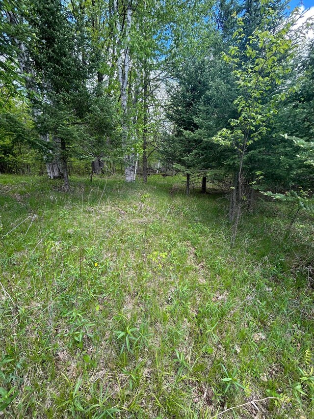 TBD Chokecherry Rd, Finlayson, MN 55735 - photo 35