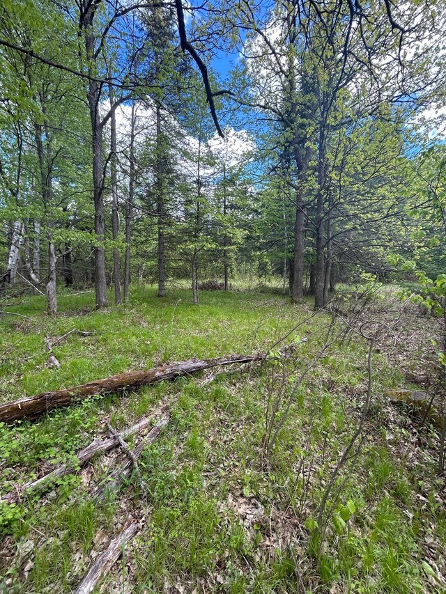 TBD Chokecherry Rd, Finlayson, MN 55735 - photo 36