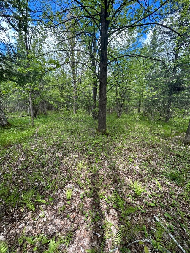 TBD Chokecherry Rd, Finlayson, MN 55735 - photo 37
