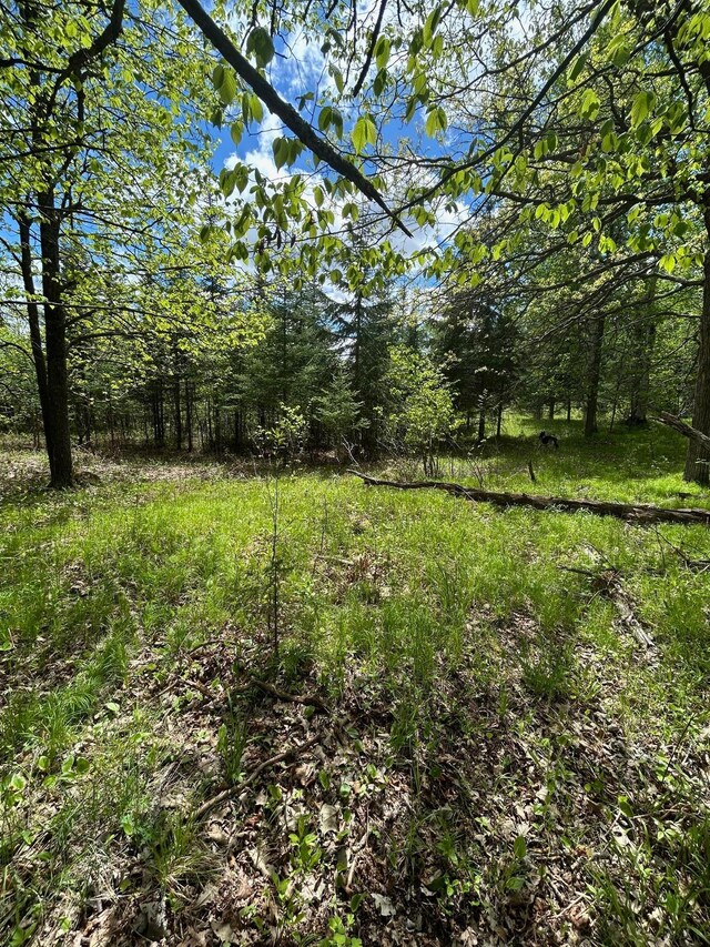 TBD Chokecherry Rd, Finlayson, MN 55735 - photo 38