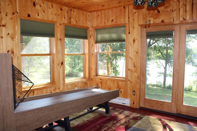 1729 Quail Ln NE, Longville, MN 56655 - game room featuring wood walls and wood finished floors