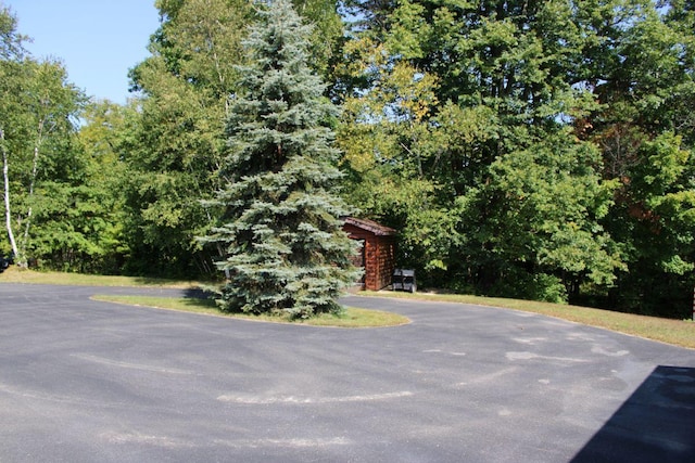 1729 Quail Ln NE, Longville, MN 56655 - view of asphalt driveway