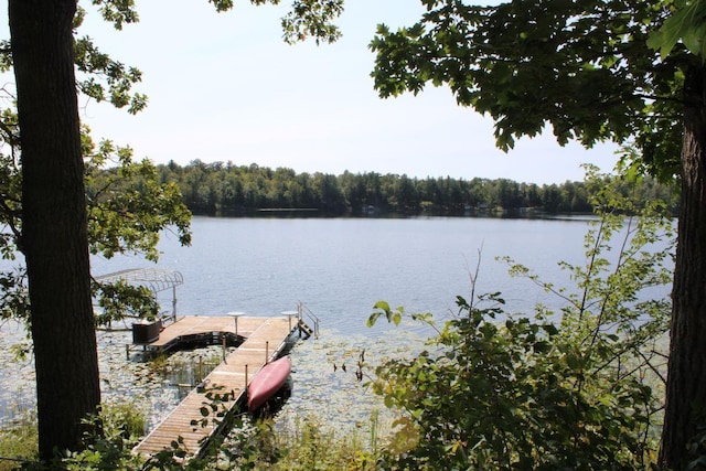 1729 Quail Ln NE, Longville, MN 56655 - dock area featuring a water view and a forest view