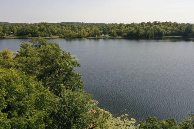 1729 Quail Ln NE, Longville, MN 56655 - water view with a forest