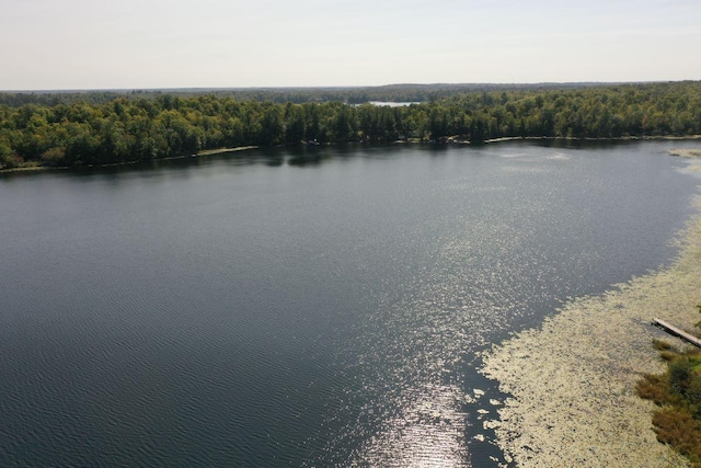 1729 Quail Ln NE, Longville, MN 56655 - water view featuring a forest