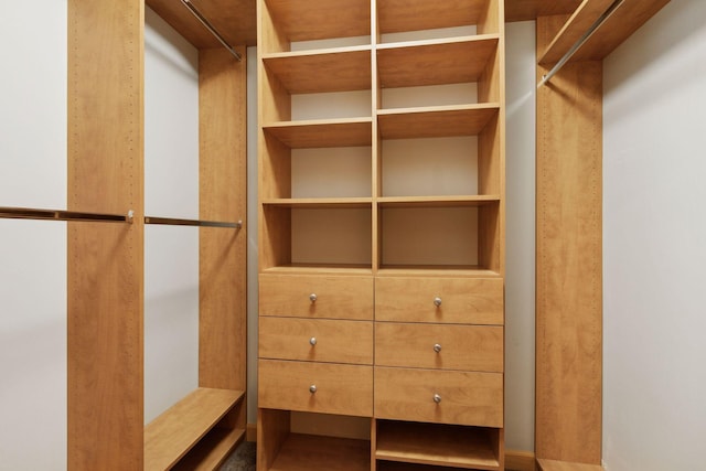 9885 Troy Ln N, Maple Grove, MN 55311 - view of spacious closet