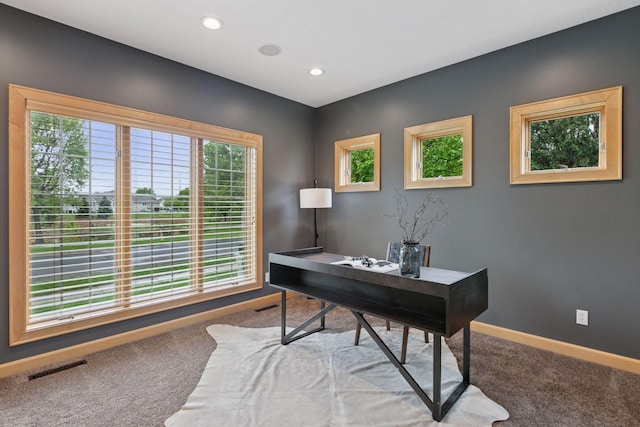 9885 Troy Ln N, Maple Grove, MN 55311 - office featuring carpet, baseboards, and recessed lighting